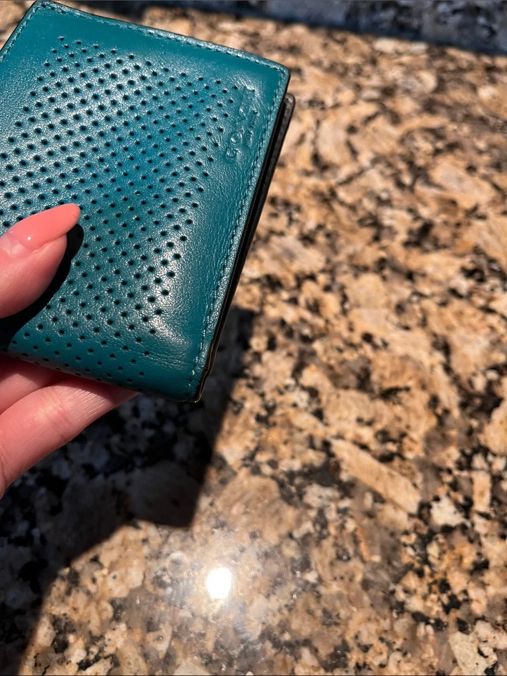 Coach leather card